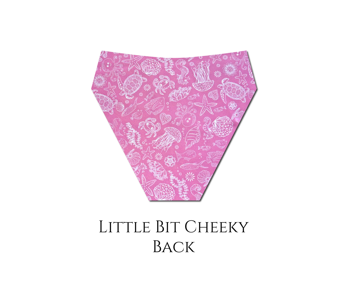 Bubblegum Bay - Hayden Hi Waist Bikini Bottom