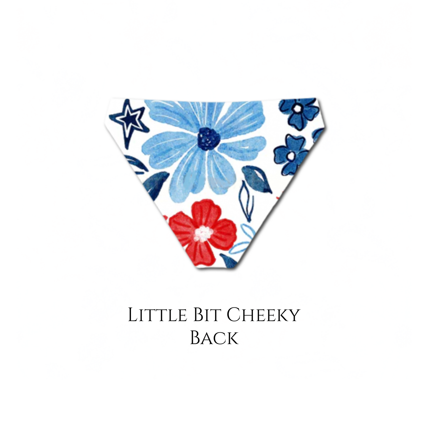 American Honey - Cove Bikini Bottom