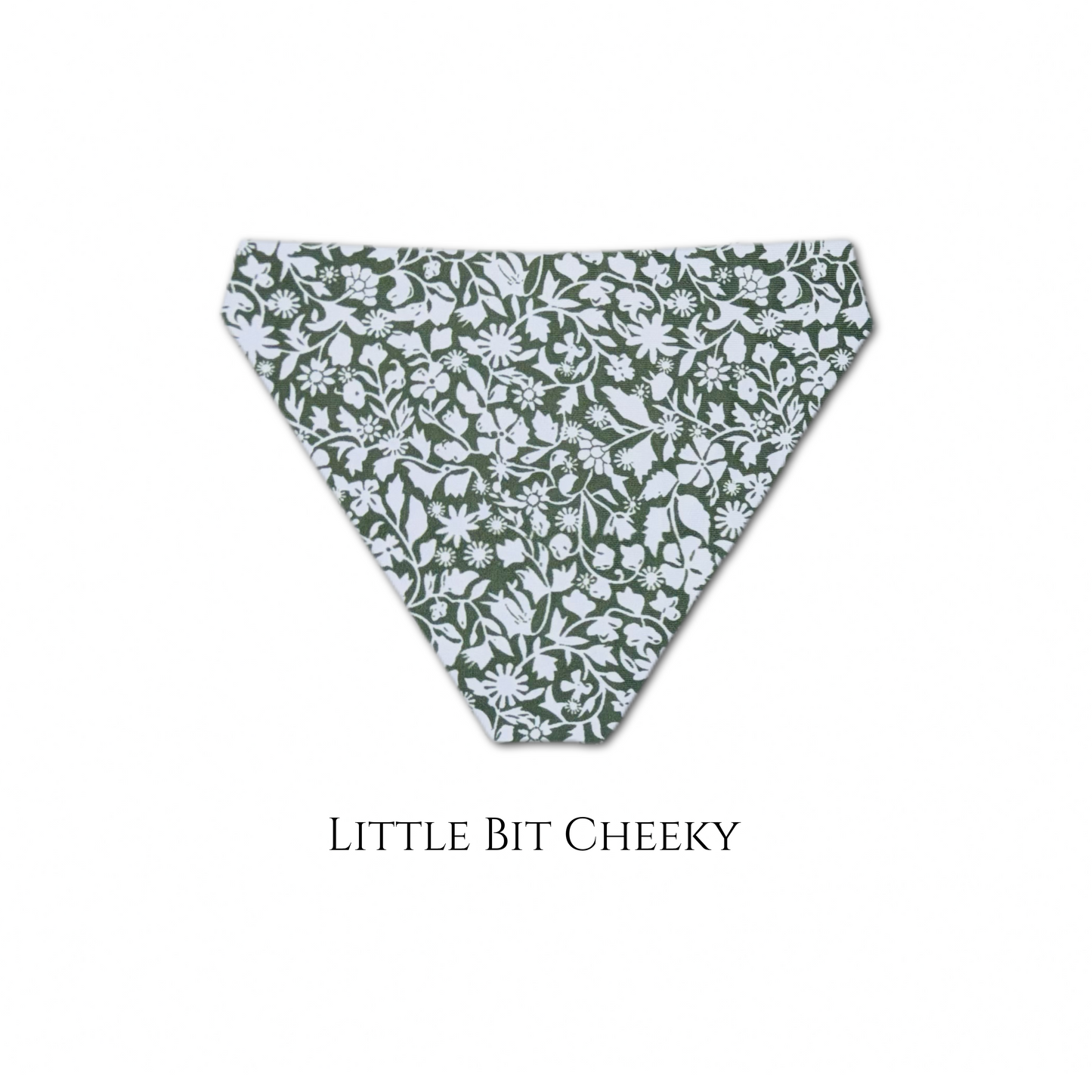 Wild Olive - Cove Bikini Bottom