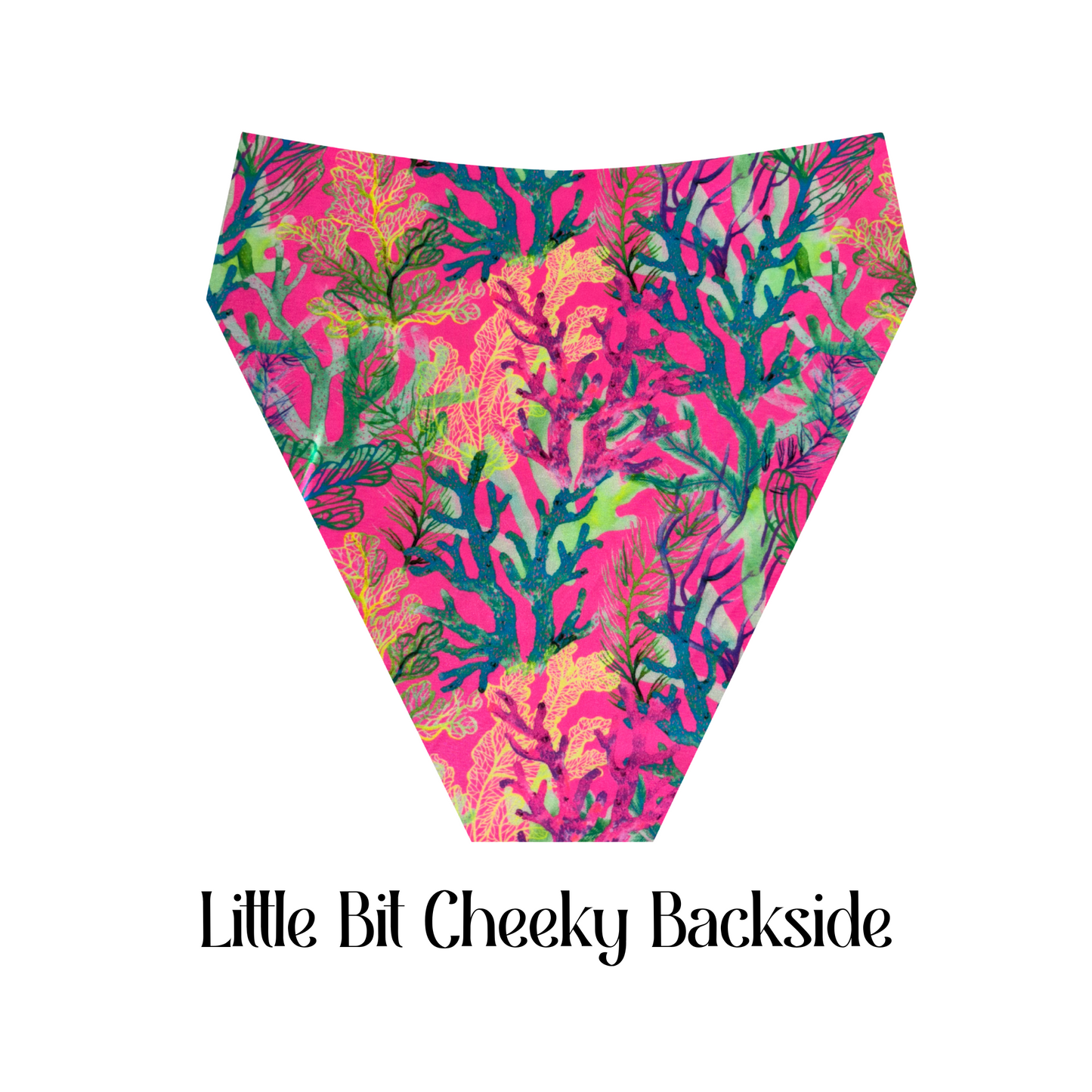 Pink Tide - Hayden High Waist Bikini Bottom