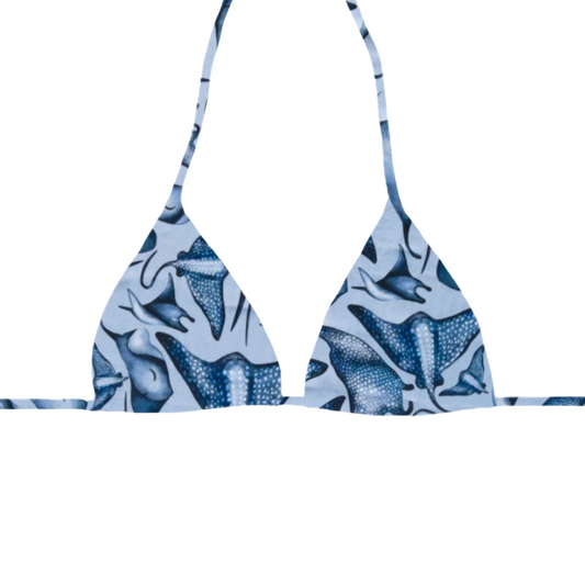 Stingrays - Ella Triangle Bikini Top
