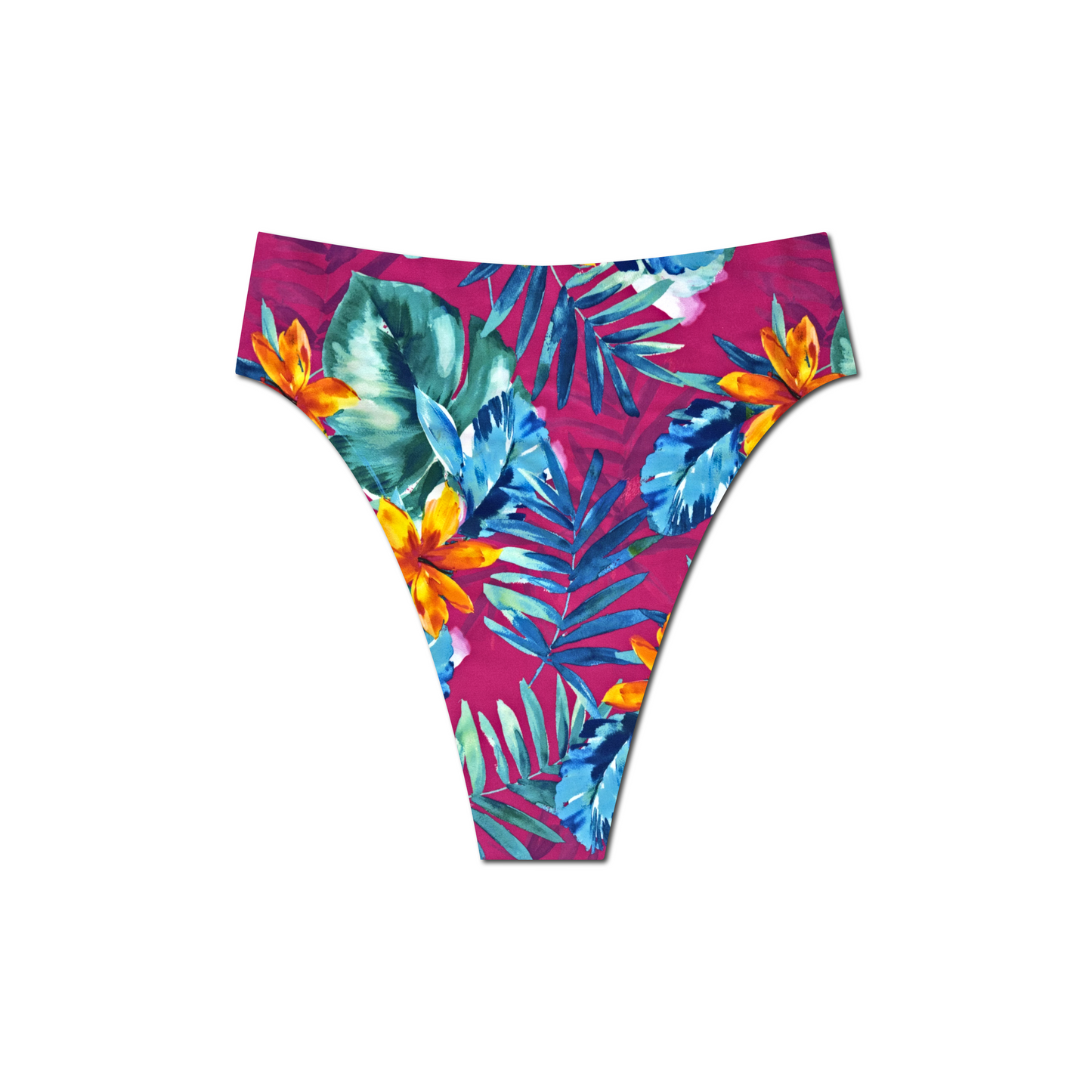 Bimini Babe - Hayden Hi Waist Bikini Bottom