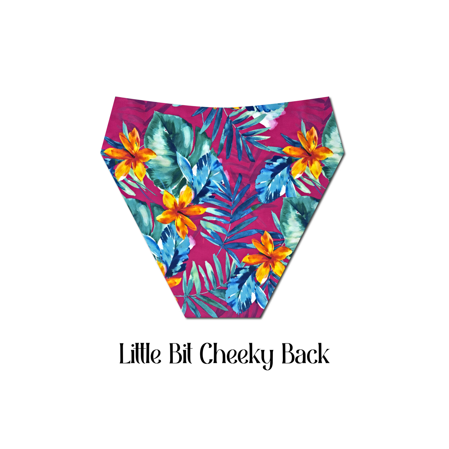 Bimini Babe - Hayden Hi Waist Bikini Bottom