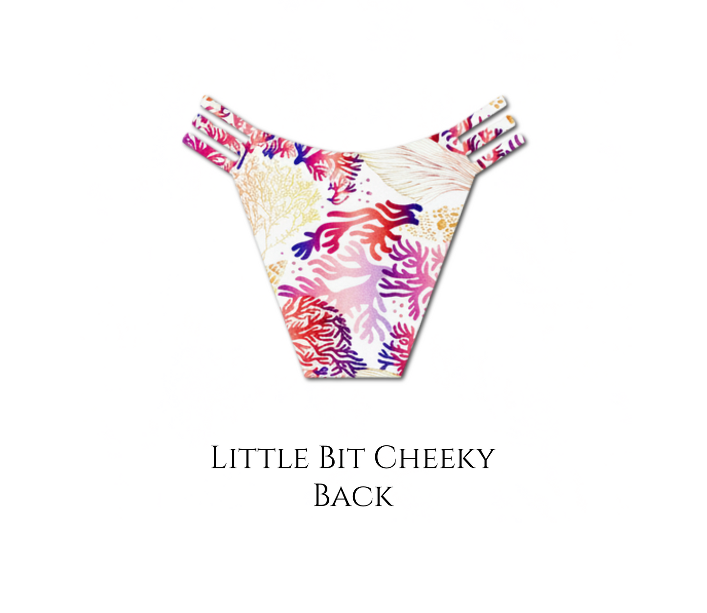 Seashell Secrets - Daisy Reversible Bikini Bottom