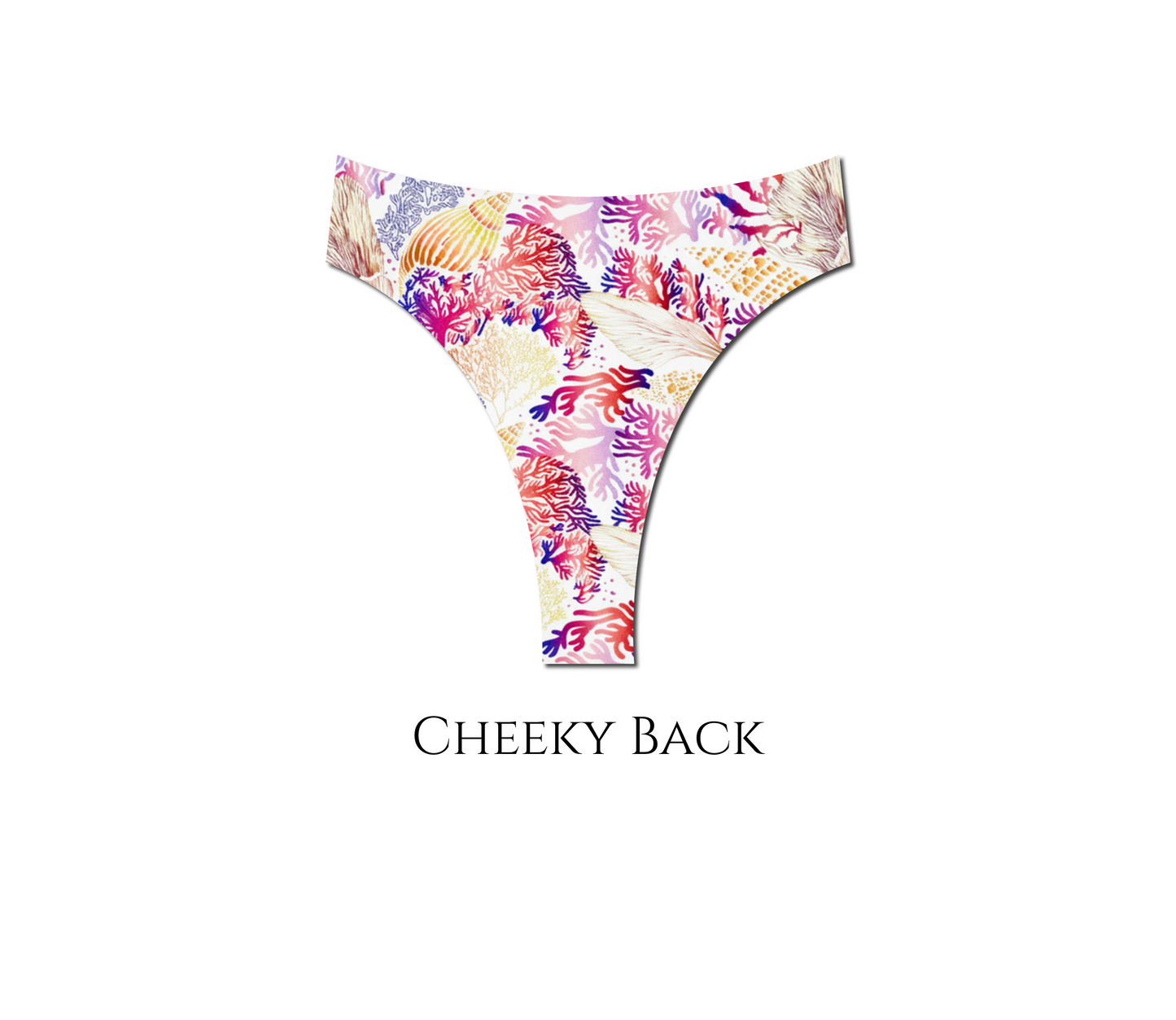 Seashell Secrets - Hayden High Waist Bikini Bottom