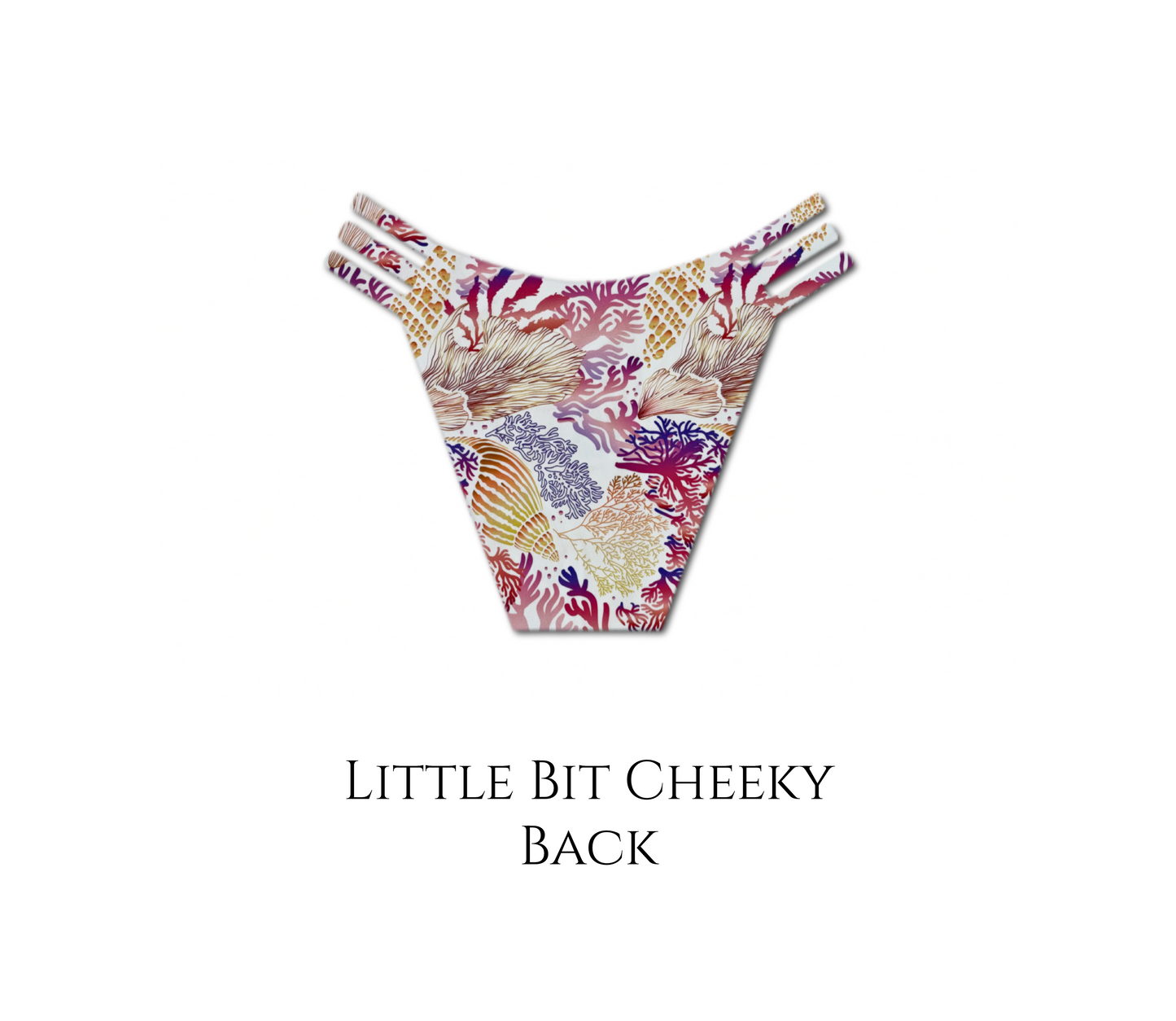 Seashell Secrets - Daisy Reversible Bikini Bottom