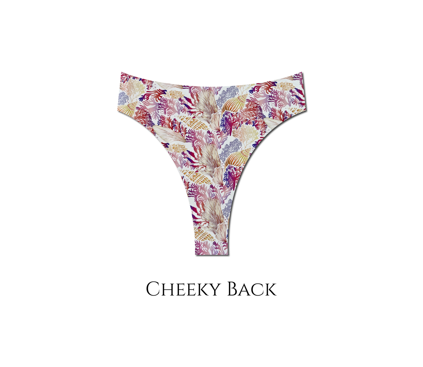 Seashell Secrets - Hayden Hi Waist Bikini Bottom