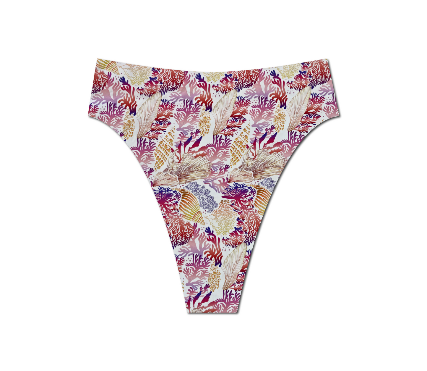 Seashell Secrets - Hayden Hi Waist Bikini Bottom
