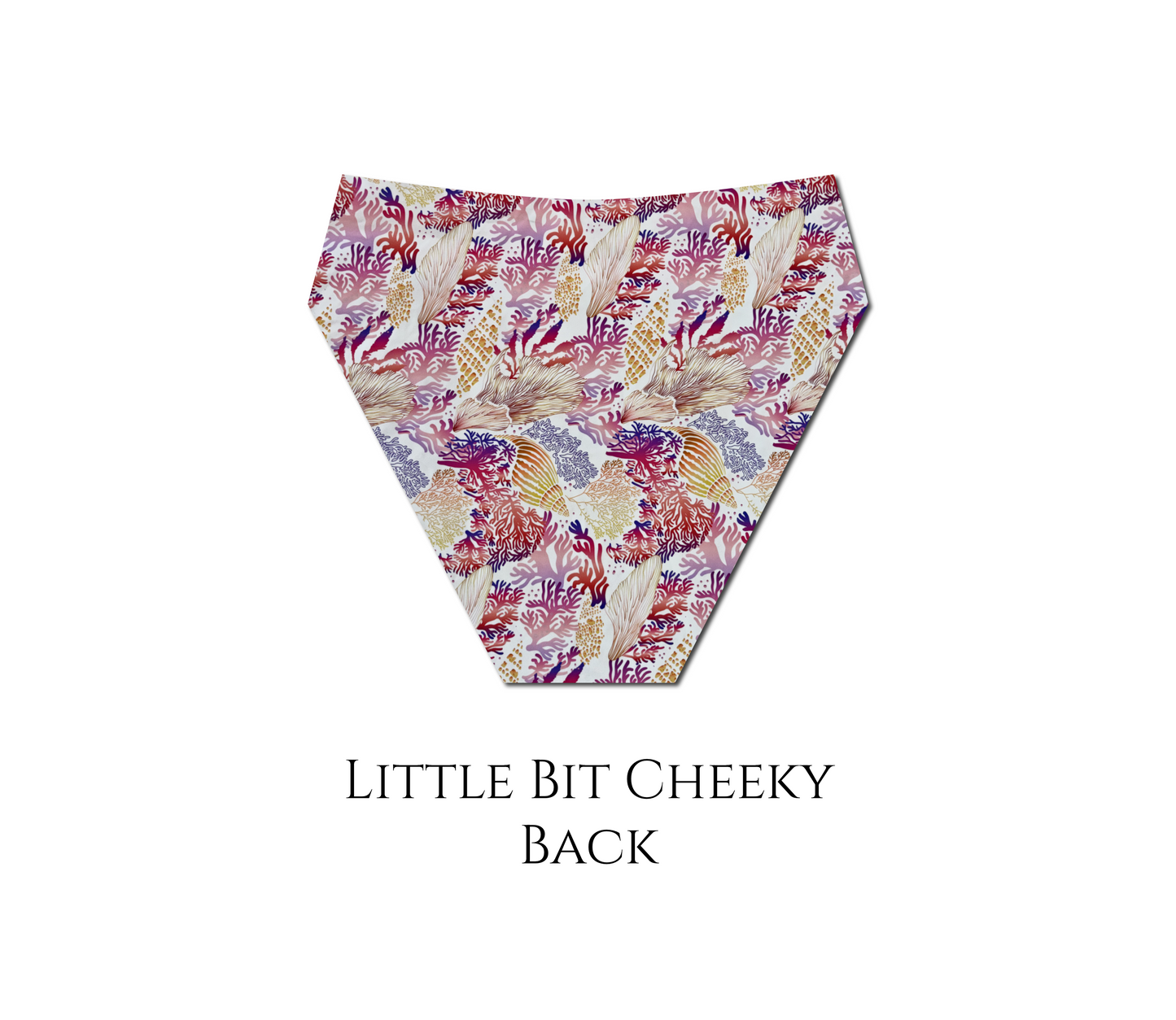 Seashell Secrets - Hayden Hi Waist Bikini Bottom